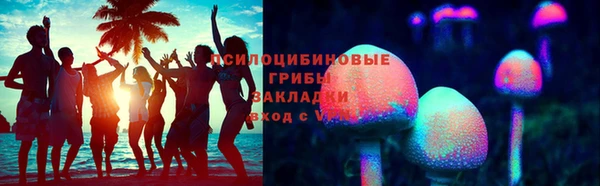 гашик Белокуриха