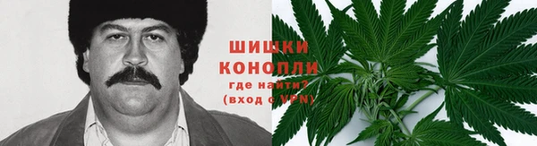гашик Белокуриха