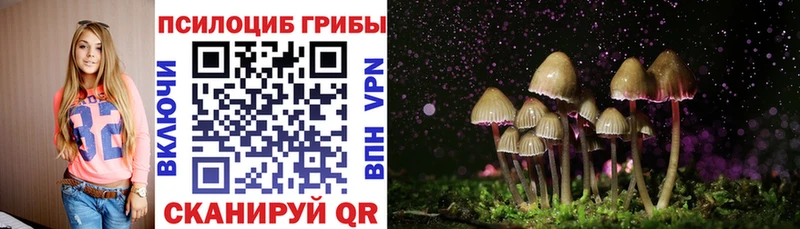 Галлюциногенные грибы Psilocybe Семикаракорск